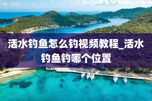 活水釣魚(yú)怎么釣視頻教程_活水釣魚(yú)釣?zāi)膫€(gè)位置-第1張圖片-姜太公愛(ài)釣魚(yú) 活水釣魚(yú)怎么釣視頻教程_活水釣魚(yú)釣?zāi)膫€(gè)位置-第1張圖片-姜太公愛(ài)釣魚(yú)