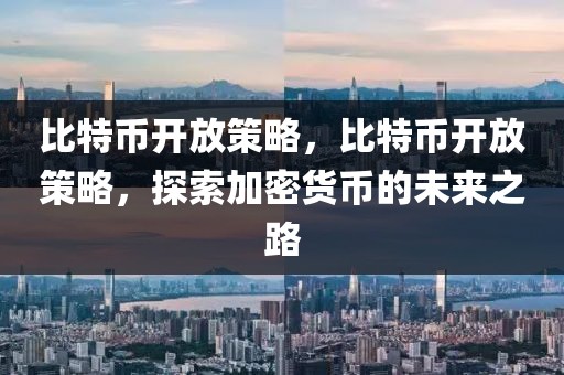 比特幣開放策略，比特幣開放策略，探索加密貨幣的未來之路