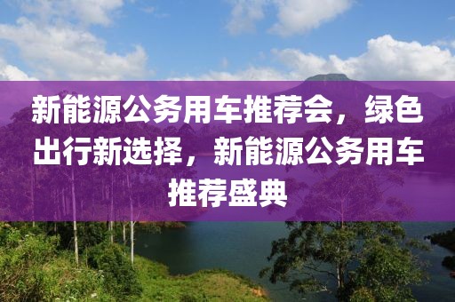 新能源公務(wù)用車推薦會(huì)，綠色出行新選擇，新能源公務(wù)用車推薦盛典