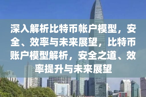 深入解析比特幣帳戶模型，安全、效率與未來展望，比特幣賬戶模型解析，安全之道、效率提升與未來展望