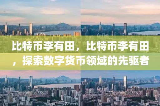 比特幣李有田，比特幣李有田，探索數(shù)字貨幣領(lǐng)域的先驅(qū)者