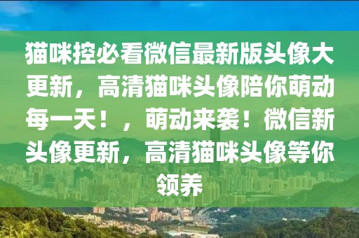 貓咪控必看微信最新版頭像大更新，高清貓咪頭像陪你萌動(dòng)每一天！，萌動(dòng)來襲！微信新頭像更新，高清貓咪頭像等你領(lǐng)養(yǎng)