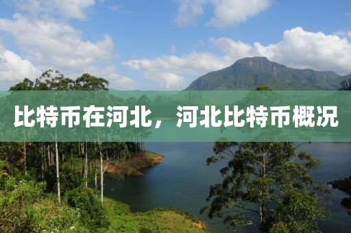 比特幣在河北，河北比特幣概況