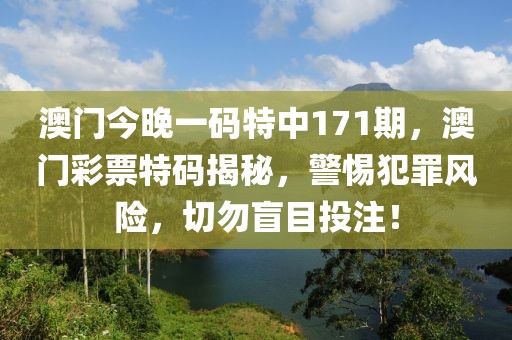 澳門(mén)今晚一碼特中171期，澳門(mén)彩票特碼揭秘，警惕犯罪風(fēng)險(xiǎn)，切勿盲目投注！