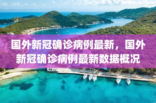 國外新冠確診病例最新，國外新冠確診病例最新數(shù)據(jù)概況